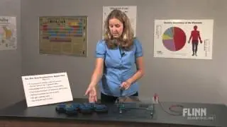 Six Gel Electrophoresis Apparatus