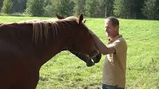 Sanāksim Talsos 1