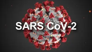 Covid-19 (SARS CoV 2) for Sonographers