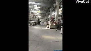 Arabesque harlem shake