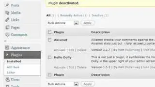 How to Manage and Edit Plugins in WordPress - Brief Explanations of Plugins Feature in WordPress