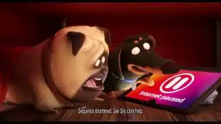 Sky Broadband - The Secret Life of Pets 2