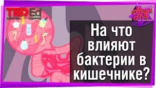👄 На что влияют бактерии в кишечнике и как о них заботиться? 