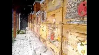 VID 20150502 163152