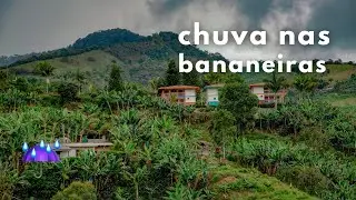 ☔ Chuva Leve nas Bananeiras (Para Dormir e Relaxar)