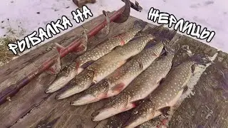 Обалденная РЫБАЛКА на ЖЕРЛИЦЫ! Рыбалка на ЖЕРЛИЦЫ! ЩУКА издевается РАЗ за РАЗОМ!