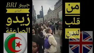 جيبو البياري زيدو الصاعقة من قلب المملكة المتحدة