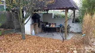 Владимир Вахитов - Желтые листья