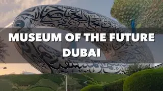 Museum of the Future Dubai | Peacocks in the Street of Dubai | Zabeel Dubai @shabstravel
