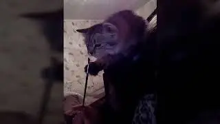 Немного милоты на канал