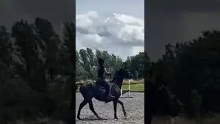 Team Chaser Show Jumping 
