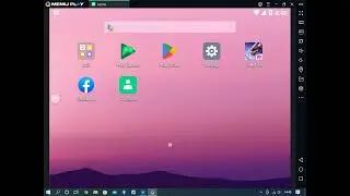 Memu Network Settings