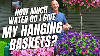 How Much Water Do I Give My Hanging Baskets?