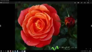 12 лекция годового курса по Cinema 4D