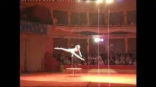 Эквилибр на пьедестале  Алеся Лаверычева  Выпуск ГУЦЭИ 2009 год