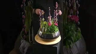 Смотри какая красота! 