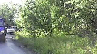 ДТП такси с 