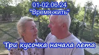 31.05.24  ⏳ Три кусочка начала лета  ⌛