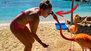 PEOPLE DYING INSIDE #32 | FAILS Compilation | FAILS DAY