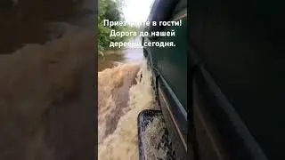 Дорога до нашей деревни утонула.
