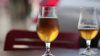 Ales & Lagers - What's The Difference