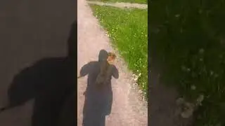 Утренний кросс с Барни 🦁#shortsvideo