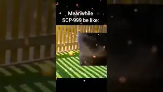 SCP-999 be like #scp #scpfoundation #comedy #funny #edit #memes #cat #chipichipi #scp999