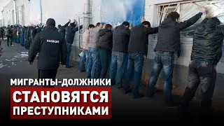 КАК МИГРАНТЫ-ДОЛЖНИКИ СТАНОВЯТСЯ ПРЕСТУПНИКАМИ | Эфир НСН