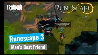 Man's Best Friend | RS3Ironman