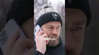 Домашний питомец  