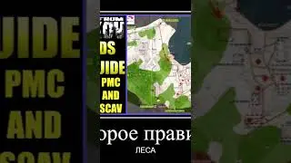 правила леса тарков 