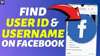 How To Find My Facebook User ID and Username (2023)