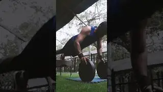 Plate Pushups🔥🔥🔥#youtubeshorts #shorts #shortvideo #viral #viralvideo #reels #youtube