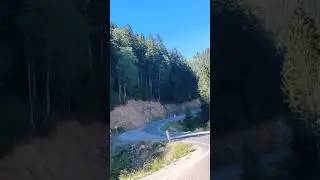 15 Ağustos 2024