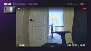 Roku Smart Home Cameras Channel