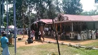 Sree Gandharva Temple Urulikunnam | Utsav