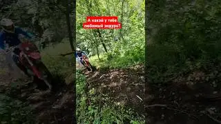 какой из мотиков лучше?🤔 