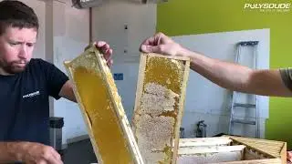 Polysoude - CSR: Let The Honey Flow! First Honey Harvest at Polysoude