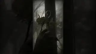 video 001