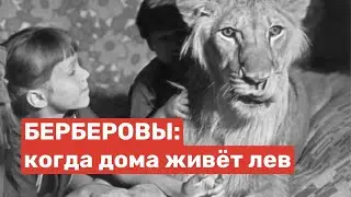 БЕРБЕРОВЫ: Когда дома живет лев