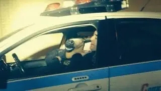 Гайд по установке мода LCPDFR 1.1 для GTA IV