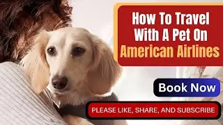 How To Travel With A Pet On American Airlines || Pet Policy || Call Now- +1-866-217-1292
