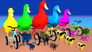 Cow Mammoth Elephant Lion Buffalo Guess The Right Door ESCAPE ROOM CHALLENGE Animals Bicycle Game