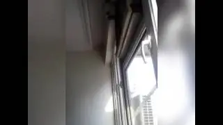 Şişe Durduranlar Top 10