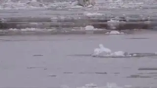 Иртыш ледоход