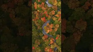📍New England Fall Foliage! 🍁🍂 #newengland #fall #fallfoliage #autumn #travel #nature #relaxation