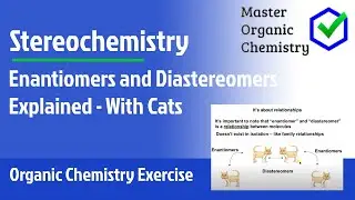 Enantiomers and Diastereomers Explained - With Cats