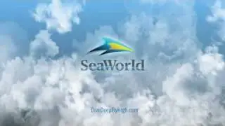 manta Commercial