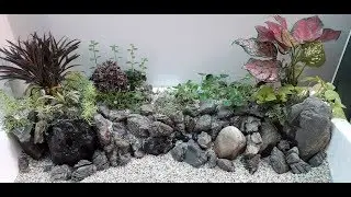 Styrofoam Aquarium Riparium Guppy Fish Tank RIVERSIDE Layout Part #1