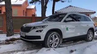 Kodiaq. Быстрый лесной тест-драйв.